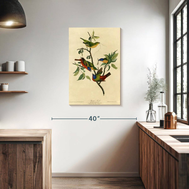 Brampt Painted Finch, 36" H x 24" W