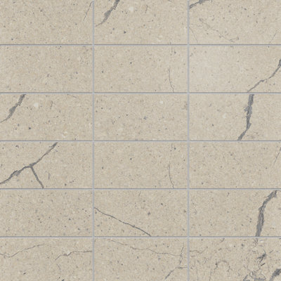 Societal 2" X 4" Porcelain Stone Look Tile Mosaic Sheet