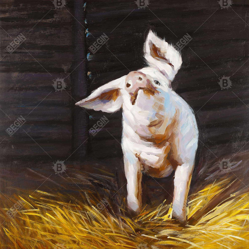 " Happy Pig "