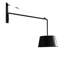 1 - Light Swing Arm