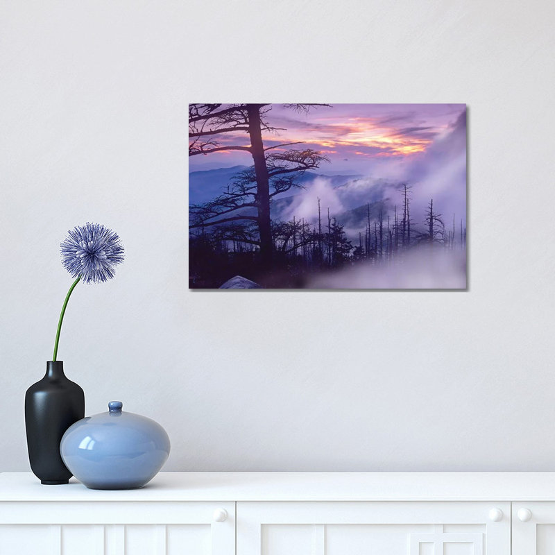 Rolling Fog on Clingman's Dome, Great Smoky Mountains National Park, Tennessee 1 Piece Wrapped Canvas Wall Art