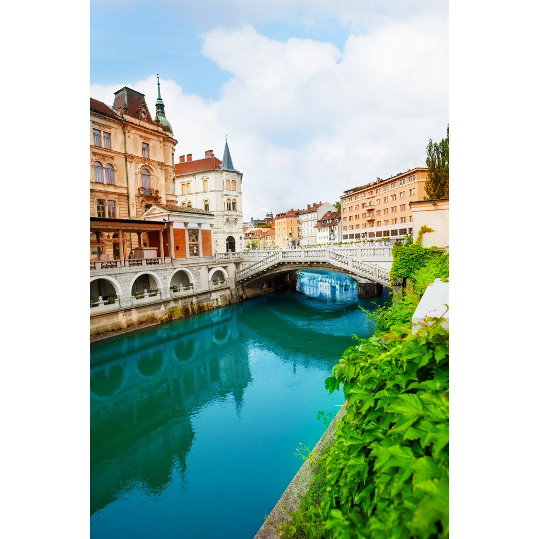 Fluss Ljubljanica