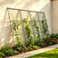 Ensemble de 2 cadres de jardin en forme de A en treillis pour plantes grimpantes avec filet en nylon et filet de concombre