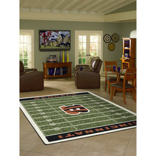 Indoor Rug