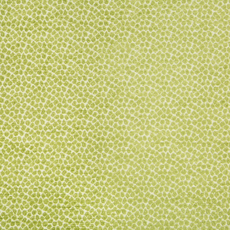 Crypton Home Fabric, Green