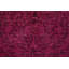 Tapis unique 7 pi 11 po x 11 pi 2 po Gyra