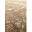 Agra Hand Knotted Wool Oriental Area Rug