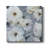 " Timeless Climbing Rose "-1741783957