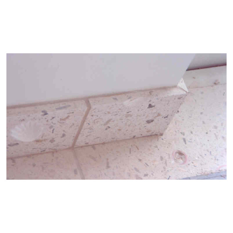 6" x 6" SeaStone Decoartive Accent Tile in White