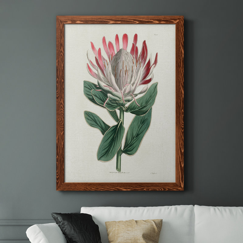 Protea N13 - Peinture sur toile encadrée, H 44 po x l 31 po x P 1 po, Érable