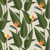 Birds of Paradise - Wallpaper