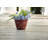 15.25" Modesto Resin Planter (2 Pack)-767231980