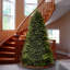 The Holiday Aisle® 10ft. Dunhill Fir Tree