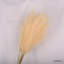 Silk Pampas Grass Arrangement-483141772-508434785