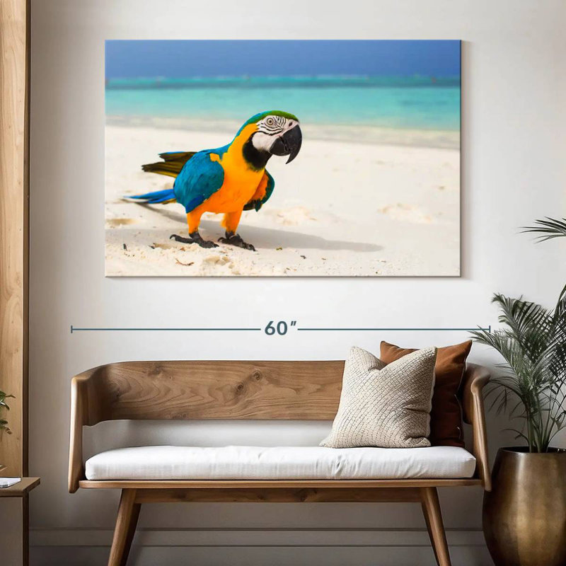 Ara Brampt sur sable blanc, H 34 po x l 51 po