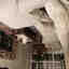 Photos des clients 2 de 2