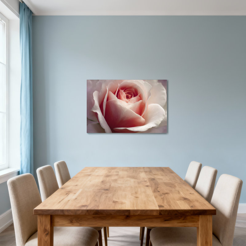 Plantes et fleurs doux rose pétale de rose gros plan Z25122408424094450, H 20 po x l 30 po