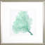 Sea Fan VII Print by Vision