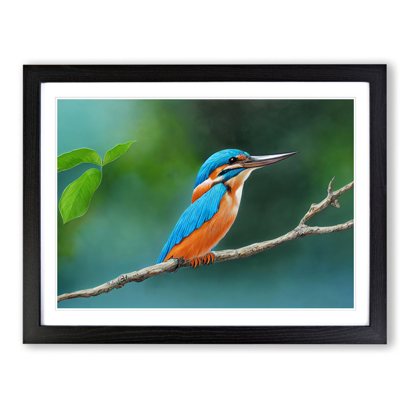 Evocative Kingfisher Bird - Framed Print, Black, 46cm H x 64cm W x 2cm D