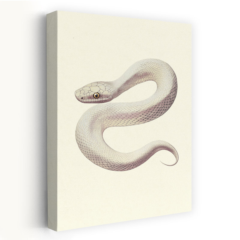 Elegant White Serpent Elegant Mystical Contemporary Snake Nature Wildlife Wall Art Print 1 Piece Wrapped Canvas Wall Art