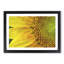 Petals of the Yellow Sunflower - Picture Frame Painting Print-56633650-56633644