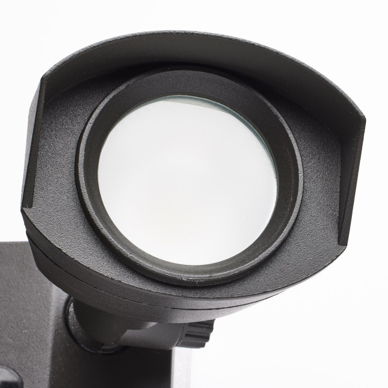 Bronze Dual-Head LED Outdoor Security Spotlight