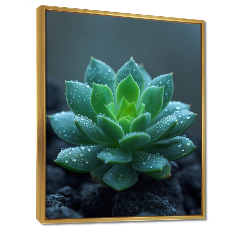 Gouttes de pluie vertes et grises sur un cactus du désert - décoration murale cactus floral, Toile avec cadre flottant or