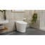 Toilette intelligente une pièce 15 po x 27 po DreamLine Aqua Lux, blanc
