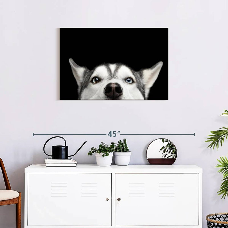 Peeking Siberian Husky, 20" H x 30" W