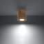 Bergelmir Flush Mount