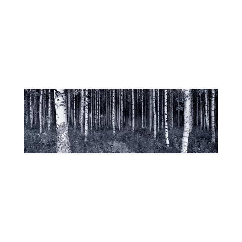 Birch Trees In A Forest, Finland - Wrapped Canvas Panoramic Print, 121.92 cm H x 40.64 cm W x 1.91 cm D