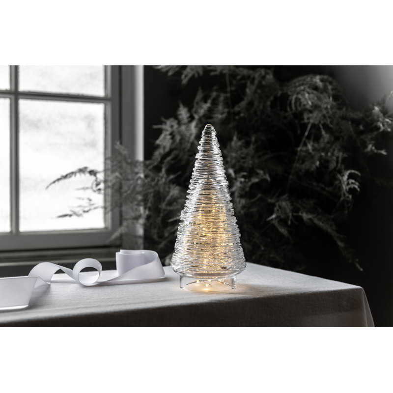 Echo Lake Evergreen, 14 inch