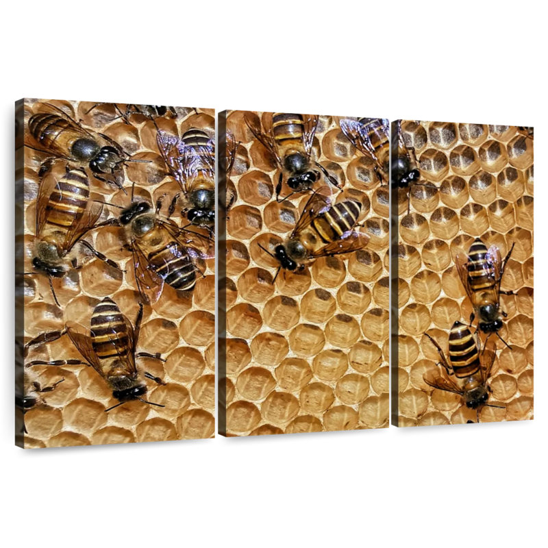 Brampt Honeycomb Bees, 28" H x 45" W