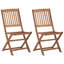 Ensemble de 2 chaises d'extérieur vidaXL