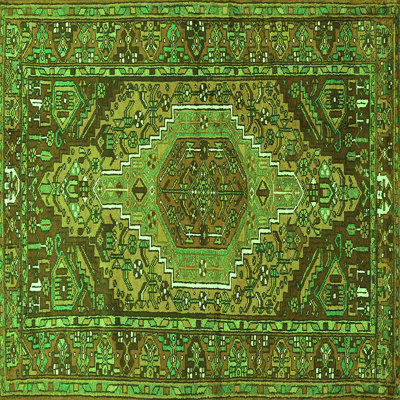 Performance Oriental Indoor Rug