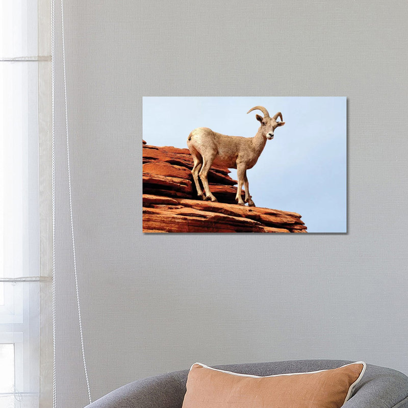 Out On A Ledge by Brian Wolf - Wrapped Canvas Print, 66.04 cm H x 45.72 cm W x 1.91 cm D