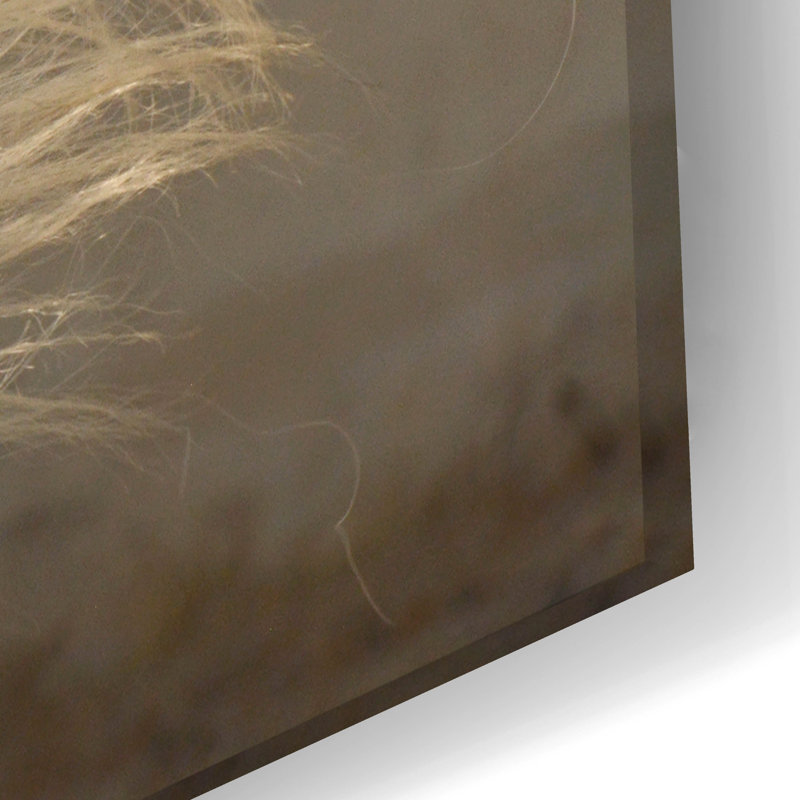 «Elegance» par Tony Stromberg, 16" H x 24" W x 0.2" D