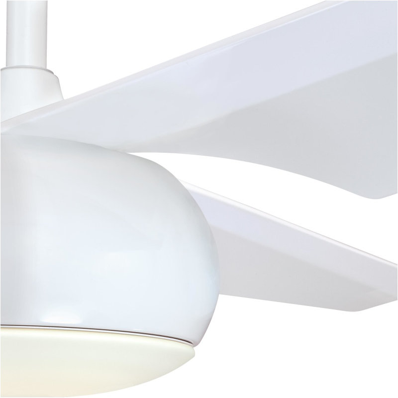 Stackpole Ceiling Fan with LED Lights