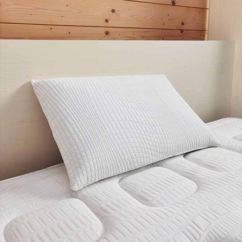 Fieldbrook Memory Foam Plush Performance Pillow