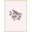 Nesting Navigators Pink 1 Print-1169251732