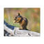 No Frame Print on Canvas