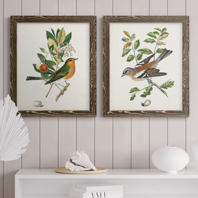 Oiseau antique, botanique et œuf sur toile encadrée, prêt à accrocher