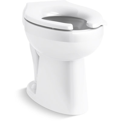 Rear Spud Antimicrobial Flushometer Bowl