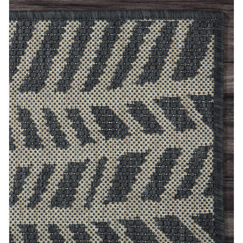Tapis intérieur / extérieur Jhostin, Rectangle 3 pi 3 po x 5 pi