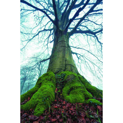 " The Giant II "
