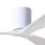 Irene Ceiling Fan-435741716-493490767-435629847