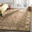 Alger Classic Hand Tufted Wool Oriental Rug-2106959816