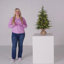 The Holiday Aisle® Nordic Spruce Tree with Clear Lights-1808368499