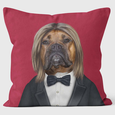 Hollywood Man - Pets Rock Cushion