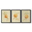 Dappled Oranges I - Toile tendue avec châssis sur mesure - 3 pièces-37366258-37366260